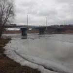 20230312_115610.jpg