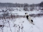IMG_20201128_151003.jpg