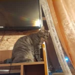 20230315_224724.webp