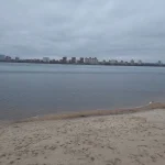20230318_063633.webp