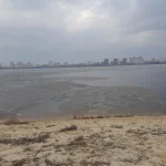 20230325_105313.webp
