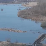 20230325_185441.webp
