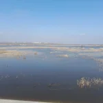20230326_111818.webp