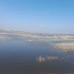 20230326_111826.webp