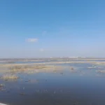20230326_111830.webp
