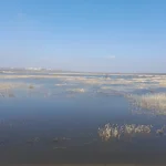 20230326_111835.webp