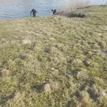 20230326_165343.webp
