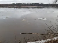 20230328_084513.webp