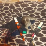 20230329_182344.jpg