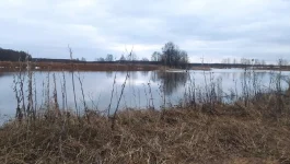 IMG-20230328-WA0000.webp