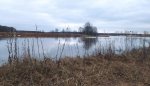 IMG-20230328-WA0000.jpg