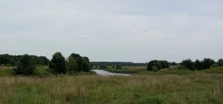 IMG_20200806_173417 - копия.webp