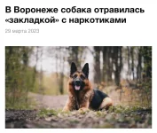 5bsR_RwB6o8.webp