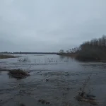 20230331_184416.webp