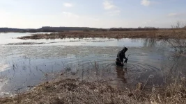 IMG-20230402-WA0012.webp
