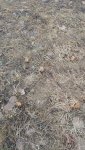 IMG-20230402-WA0001.jpeg