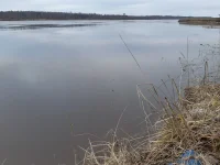 20230406_072601.webp