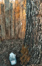 IMG_20230409_214255.webp