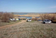 IMG_20200430_081022.jpg