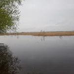 20230422_173804.jpg