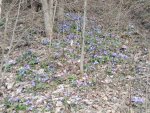 IMG_20230422_184615.jpg