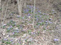 IMG_20230422_184615.webp