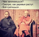 1682629986183.webp
