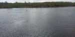 IMG_20230501_090956.jpg