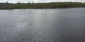 IMG_20230501_090956.jpg