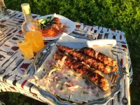 IMG_20230520_201203.webp IMG_20230520_201203.webp
