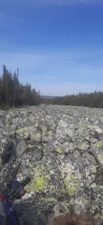 20230506_155106.jpg
