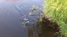 IMG-20230617-WA0006.webp