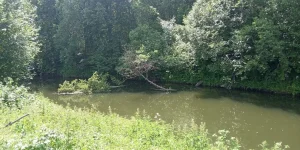 IMG_20230702_123018.jpg