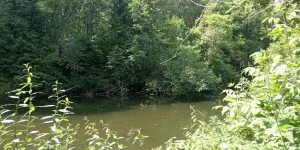 IMG_20230702_123445.jpg