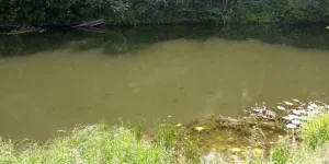 IMG_20230702_123755.jpg