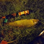 20230712_024339.webp