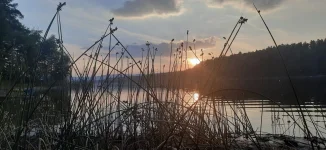 20230709_205129.webp