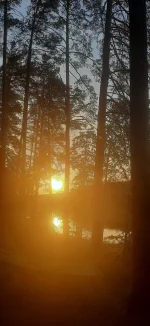 20230710_205024.webp