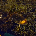 20230724_023748.webp