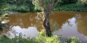 IMG_20230729_082847.jpg