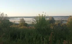 IMG_20230807_050129 - копия.jpg