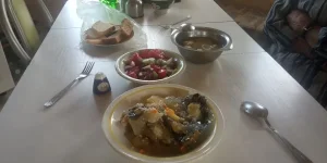 IMG_20230815_124927.jpg