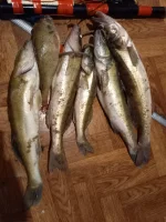 IMG-20230825-WA0001.webp