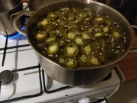 IMG_20230911_195940.jpg