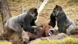 wild_animal_5_26054245.webp