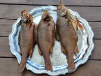 IMG_20230916_153359.webp