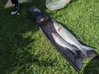 IMG_20230922_105039.webp
