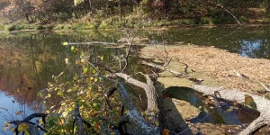 IMG_20230923_094816.webp