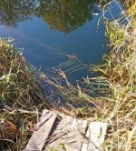 IMG_20230924_170043.webp