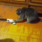 20230926_203211.webp